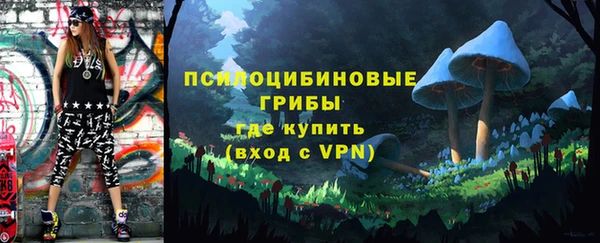 бутират Алексеевка