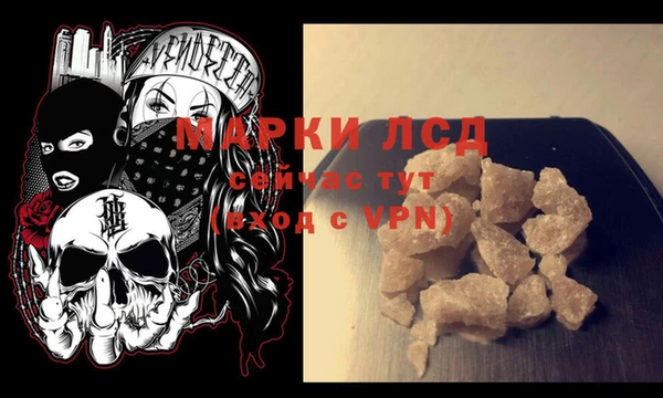 дмт Алзамай