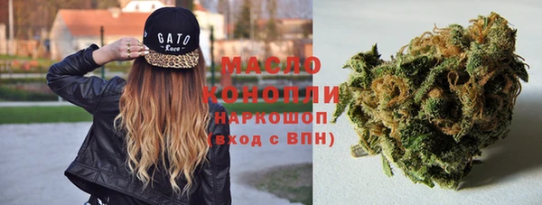 дмт Алзамай